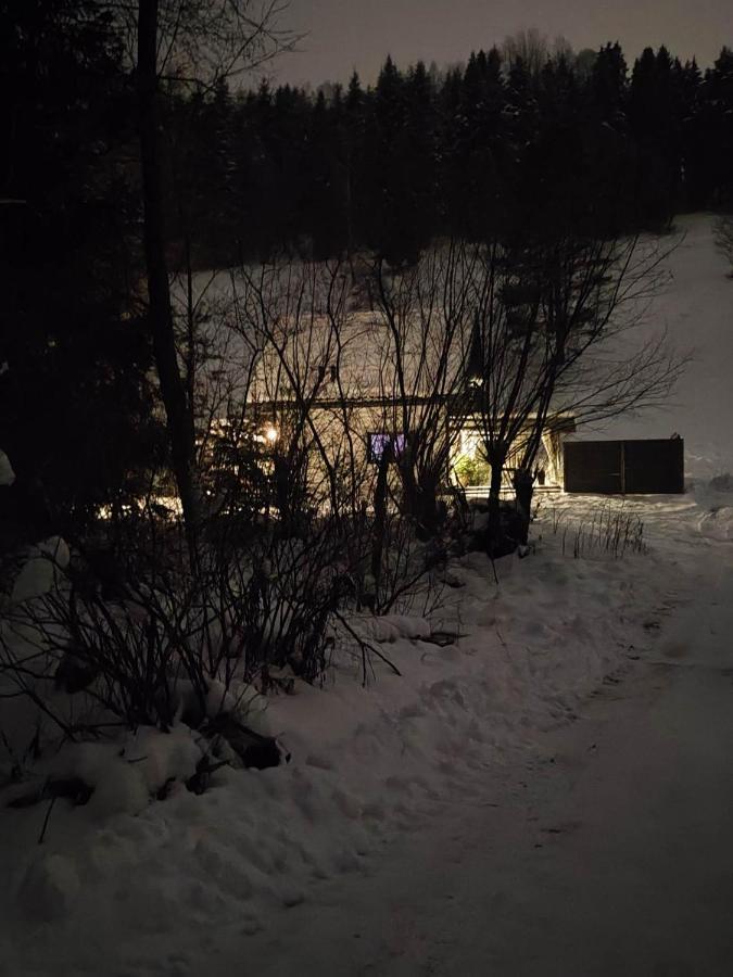 Вилла Lesny Zaulek Мушина Экстерьер фото